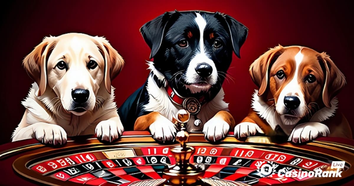 Doe mee aan het wekelijkse roulettetoernooi bij Casino-X en win een uitbetaling