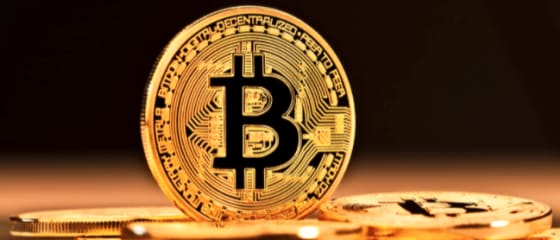 Bewezen Bitcoin-goktips voor live casinospelers